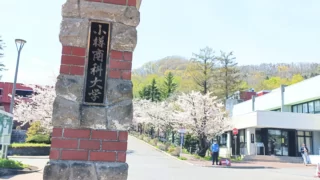 プロフィール